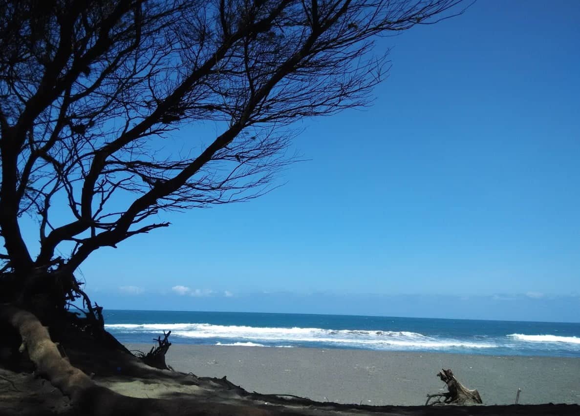 Pantai Goa Cemara
